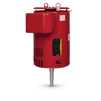 VJPFPM2539T